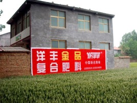 荥阳如何让墙体广告展现最大化效果